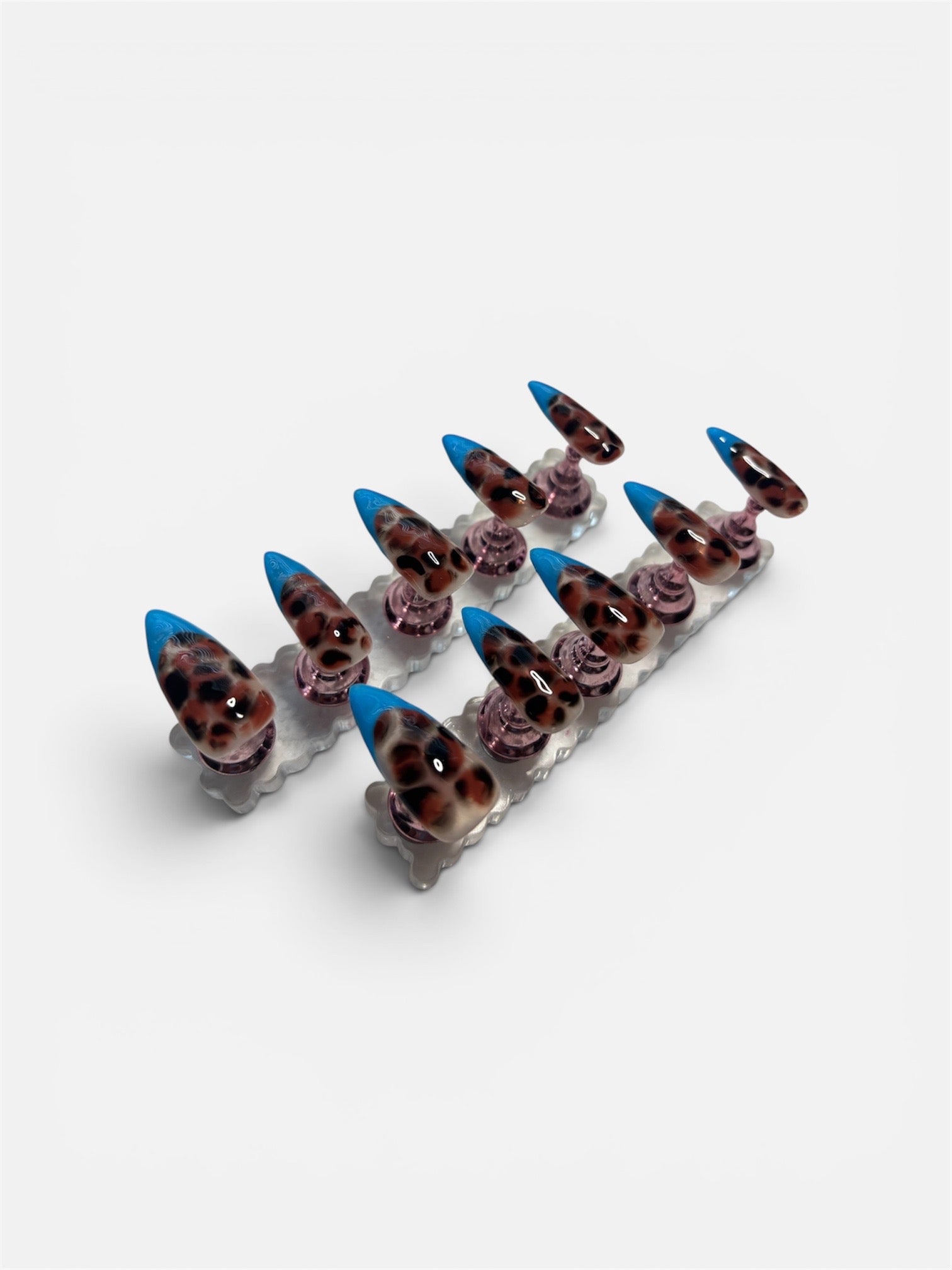 Electric Tortoise | Modern Tortoiseshell & Blue French